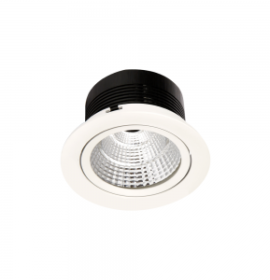 Prodown-L-300x300
